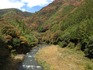 上野村の紅葉