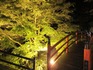 上野村出会い橋の紅葉ライトアップ