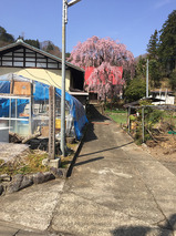 川和地区_吉祥寺